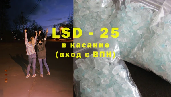 прущие грибы Балабаново