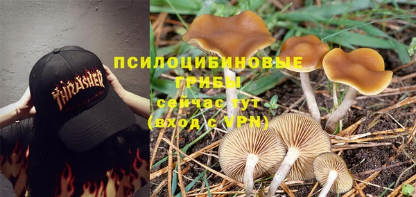 шишки Баксан