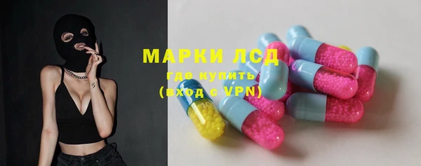 прущие грибы Балабаново