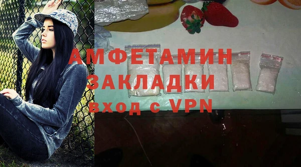прущие грибы Балабаново
