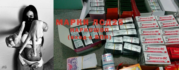 прущие грибы Балабаново