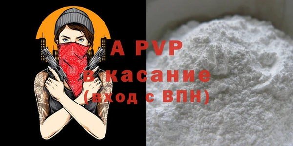 шишки Баксан