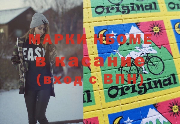 шишки Баксан